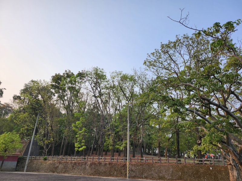 中國籍男子涉嫌襲擊矢板明夫案　警方迅速攔截嫌犯　跨境安全議題引發關注